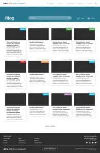 11-a-BAP-web-blogs_Blog
